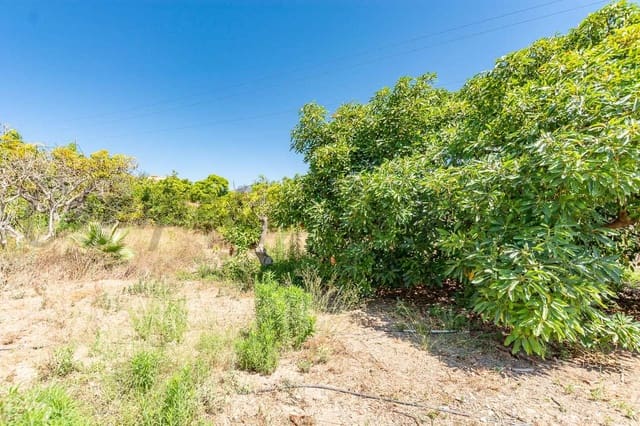 Landgrundstück zu verkaufen in Avda Pescia - Ctra de Frigiliana, Nerja - 300.000 € (Ref: 10076171)
