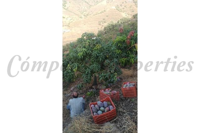 Terre non Aménagée à vendre à Frigiliana - 90 000 € (Ref: 10076173)