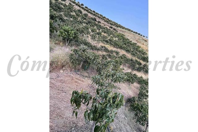 Terre non Aménagée à vendre à Frigiliana - 90 000 € (Ref: 10076173)