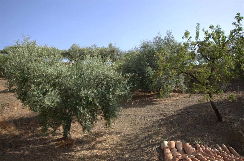 Finca/Hus på landet till salu i Sedella - 72 000 € (Ref: 10076200)