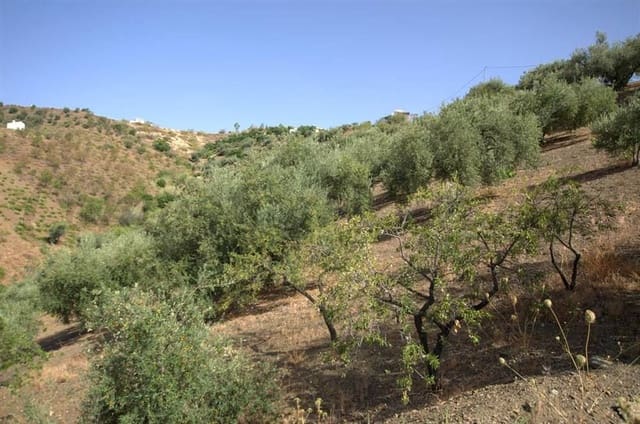 Finca/Hus på landet till salu i Sedella - 72 000 € (Ref: 10076200)