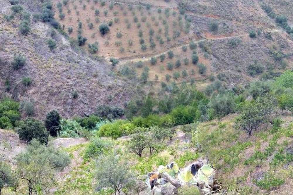 3 quarto Quinta/Casa Rural para venda em Canillas de Aceituno com garagem - 230 000 € (Ref: 10076233)