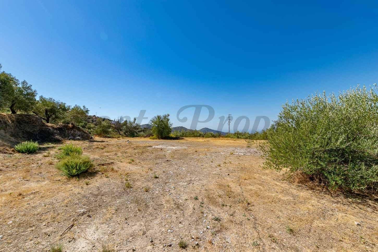 Landgrundstück zu verkaufen in Canillas de Albaida - 92.000 € (Ref: 10089692)