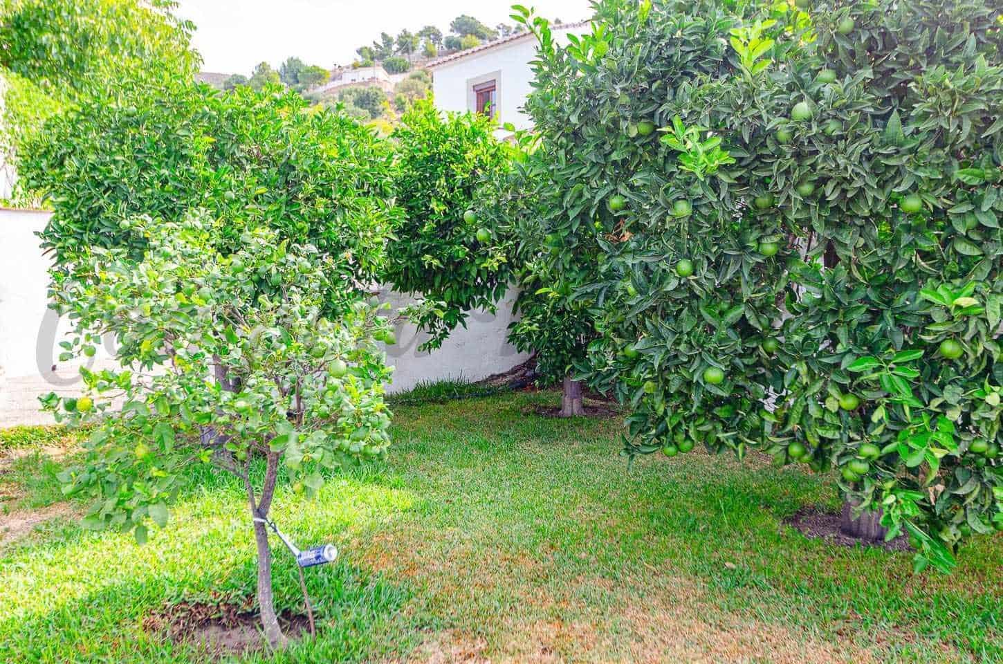 6 quarto Quinta/Casa Rural para venda em Albaida com piscina garagem - 998 000 € (Ref: 10148834)