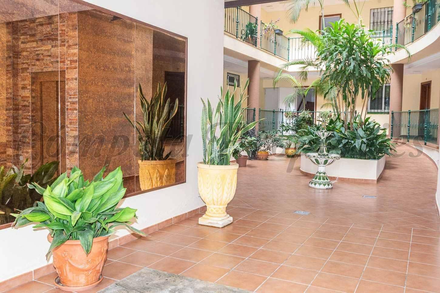 2 bedroom Apartment for rent in Torrox-Costa - € 1,200 (Ref: 10155265)