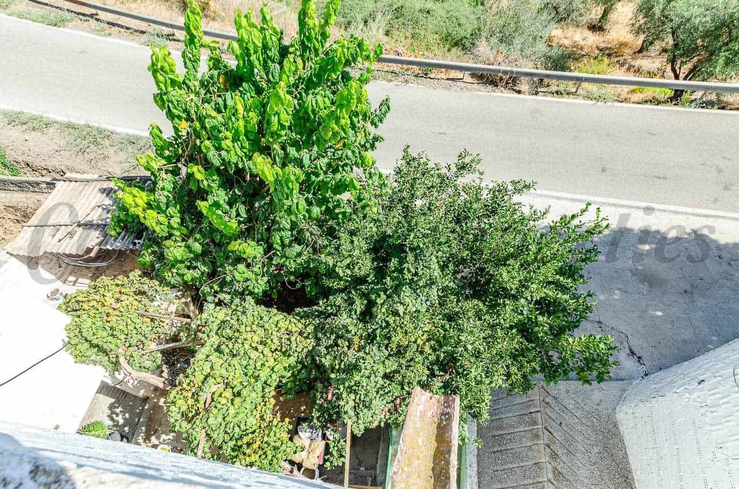 6 slaapkamer Huis te koop in Arenas - € 150.000 (Ref: 10174626)
