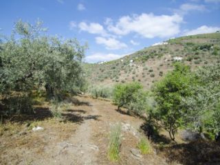 Ruin till salu i Cómpeta - 52 000 € (Ref: 2025044)