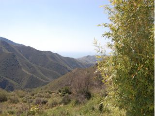 2 slaapkamer Finca/Landhuis te koop in Competa - € 390.000 (Ref: 2076852)