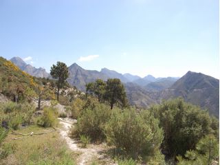 2 slaapkamer Finca/Landhuis te koop in Competa - € 390.000 (Ref: 2076852)