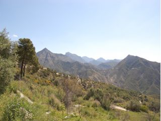 2 slaapkamer Finca/Landhuis te koop in Cómpeta - € 390.000 (Ref: 2076852)