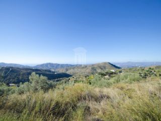 Undeveloped Land for sale in Sedella - € 169,000 (Ref: 2151898)