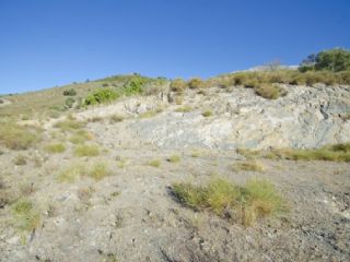 Undeveloped Land for sale in Sedella - € 169,000 (Ref: 2151898)