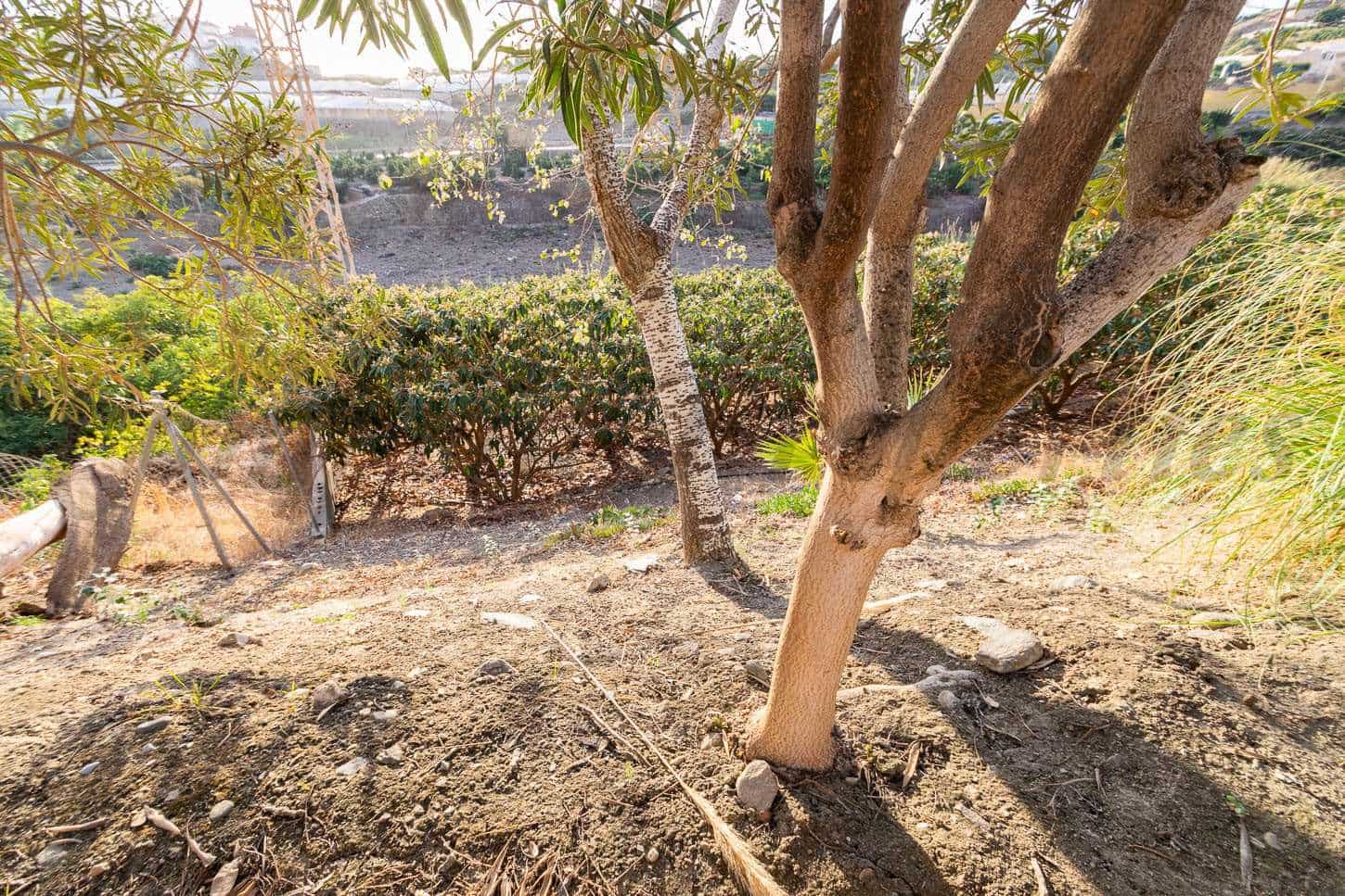 1 soverom Finca/Herregård til salgs i Torrox - € 139 000 (Ref: 2438435)