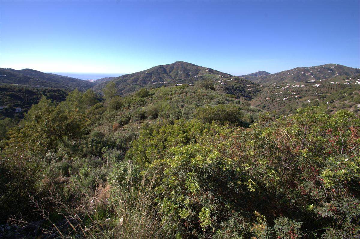 Grunde uden byggetilladelser til salg i Competa - € 159.000 (Ref: 2751403)