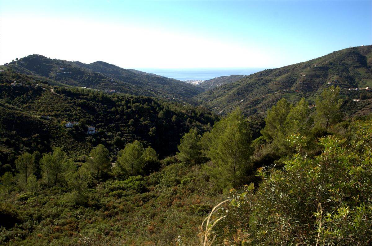 Grunde uden byggetilladelser til salg i Competa - € 159.000 (Ref: 2751403)