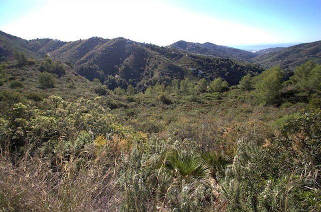 Mark till salu i Cómpeta - 159 000 € (Ref: 2751403)