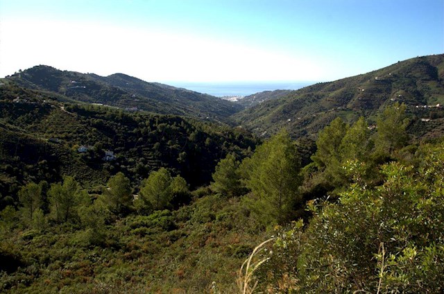 Mark till salu i Cómpeta - 159 000 € (Ref: 2751403)