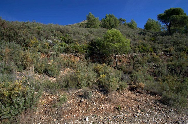 Mark till salu i Cómpeta - 159 000 € (Ref: 2751403)