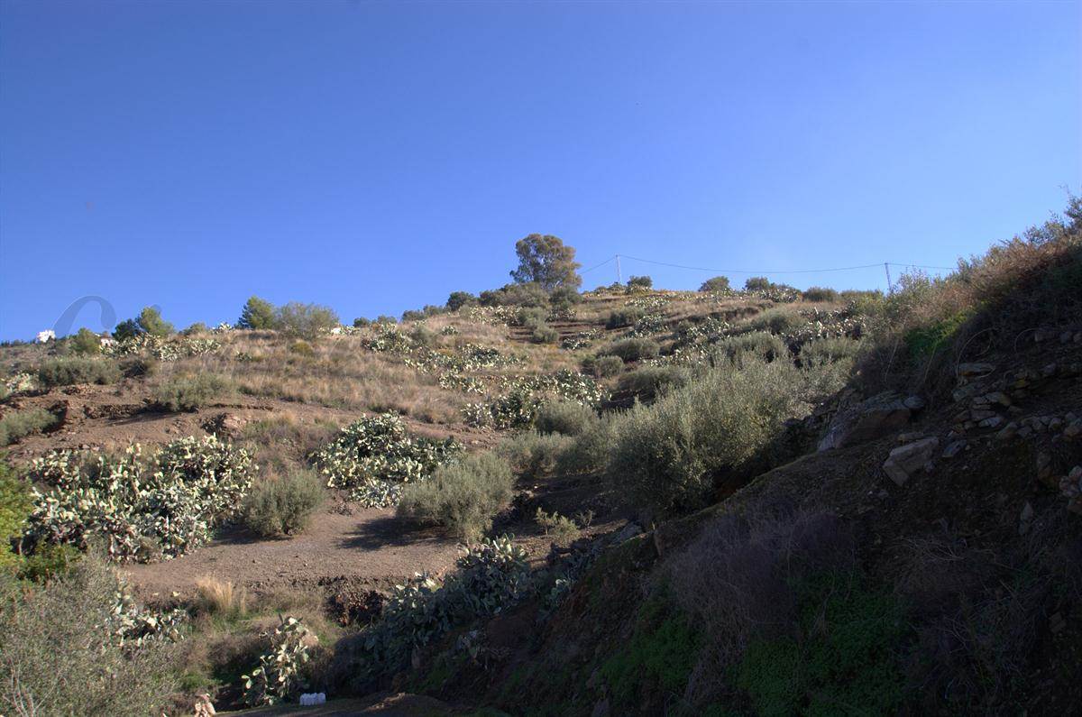 1 sypialnia Finka/Dom wiejski na sprzedaż w Torrox - 265 000 € (Ref: 2775755)