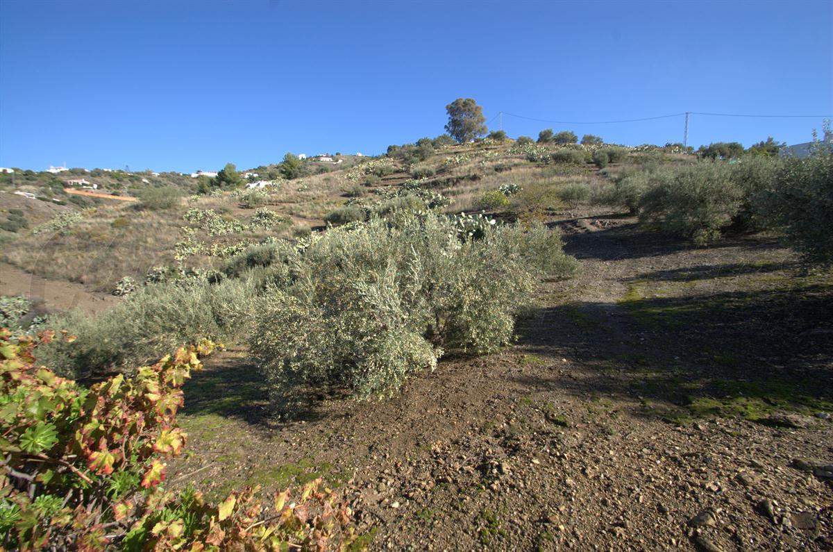 1 sypialnia Finka/Dom wiejski na sprzedaż w Torrox - 265 000 € (Ref: 2775755)