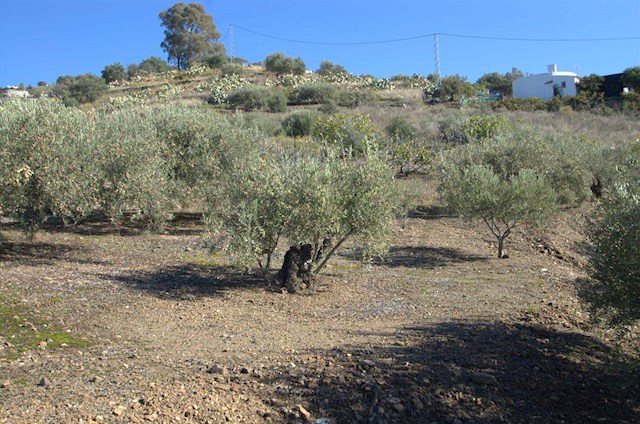 1 makuuhuone Maalaistalo myytävänä paikassa Torrox - 265 000 € (Ref: 2775755)