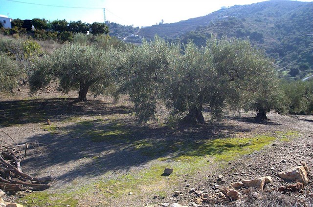 1 makuuhuone Maalaistalo myytävänä paikassa Torrox - 265 000 € (Ref: 2775755)