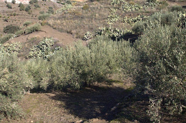 1 makuuhuone Maalaistalo myytävänä paikassa Torrox - 265 000 € (Ref: 2775755)