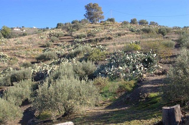 1 makuuhuone Maalaistalo myytävänä paikassa Torrox - 265 000 € (Ref: 2775755)