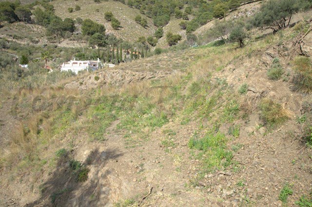 Mark till salu i Cómpeta - 160 000 € (Ref: 2845536)