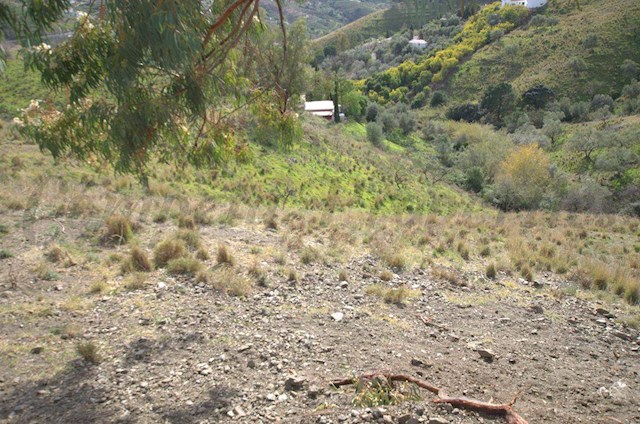 Mark till salu i Cómpeta - 160 000 € (Ref: 2845536)