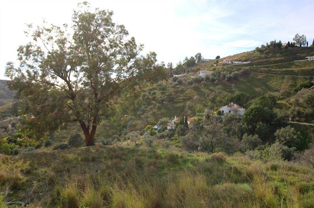 Mark till salu i Cómpeta - 160 000 € (Ref: 2845536)