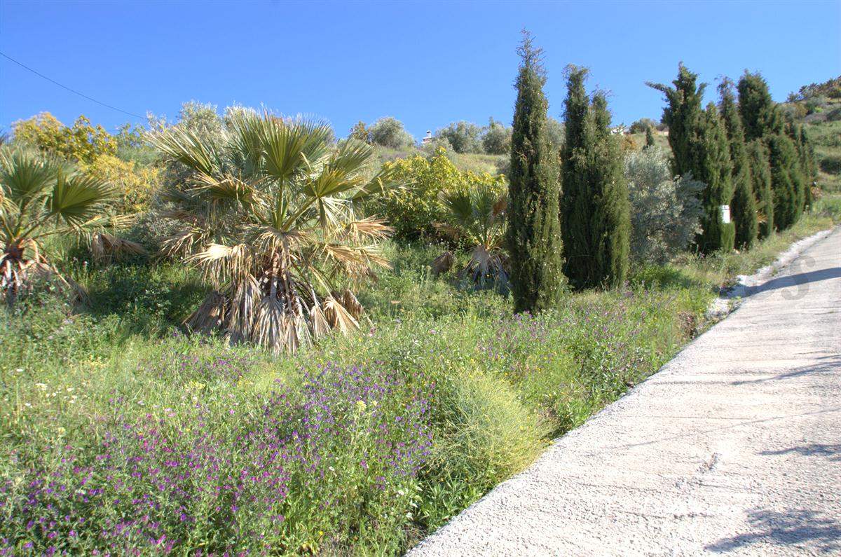 Undeveloped Land for sale in Competa - € 46,000 (Ref: 2930746)