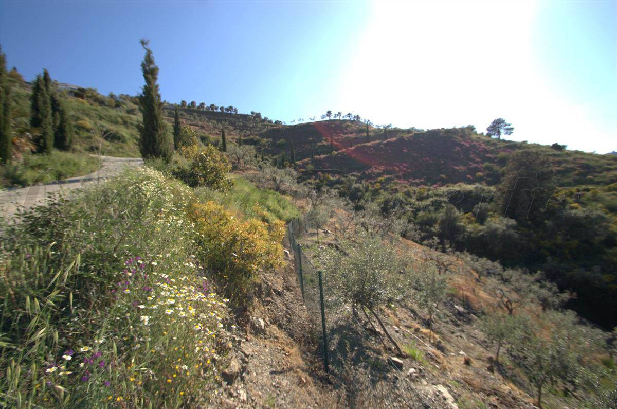 Undeveloped Land for sale in Competa - € 46,000 (Ref: 2930746)
