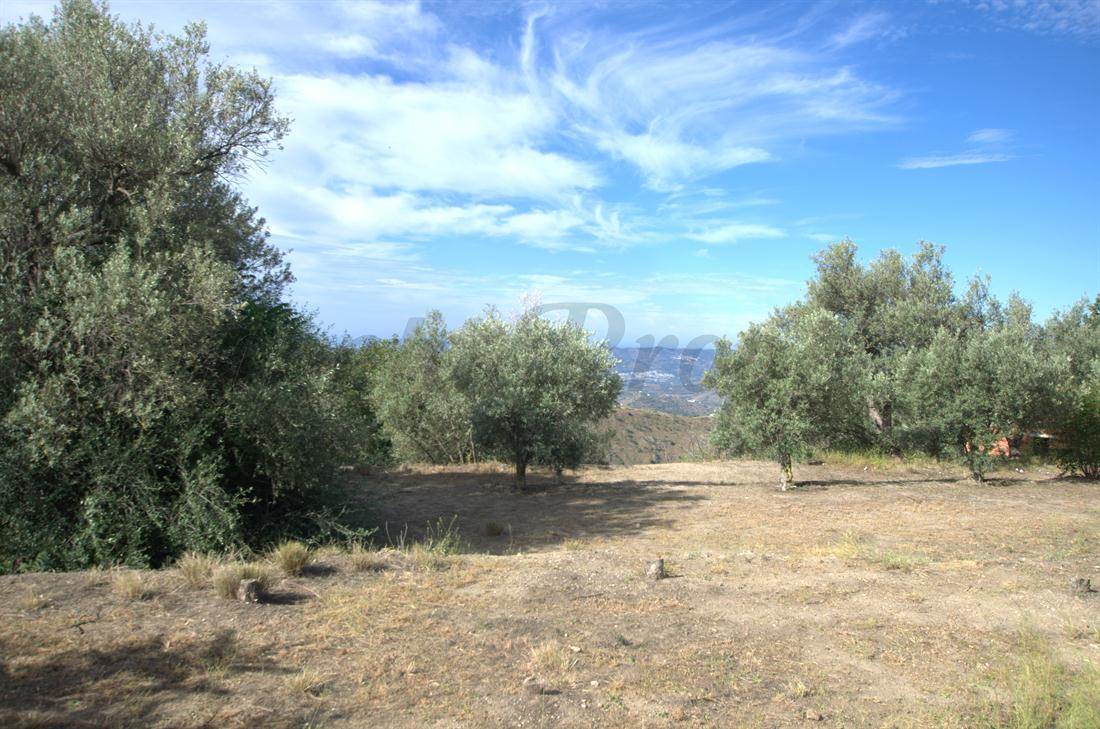 Tomt till salu i Canillas de Aceituno - 58 000 € (Ref: 3006763)