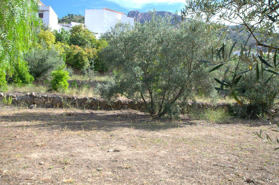 Tomt till salu i Canillas de Aceituno - 58 000 € (Ref: 3006763)