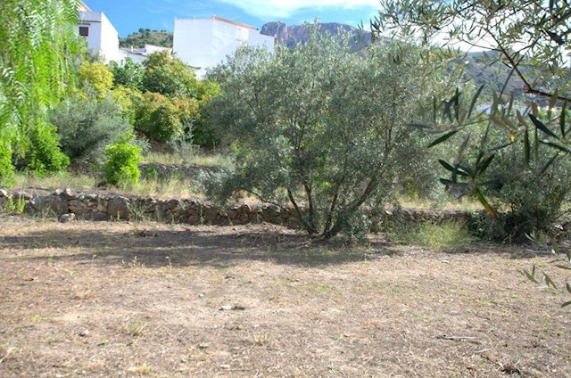 Tomt till salu i Canillas de Aceituno - 58 000 € (Ref: 3006763)