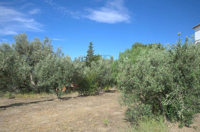 Tomt till salu i Canillas de Aceituno - 58 000 € (Ref: 3006763)