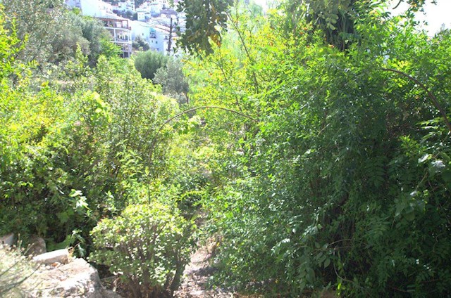 Tomt till salu i Canillas de Aceituno - 58 000 € (Ref: 3006763)