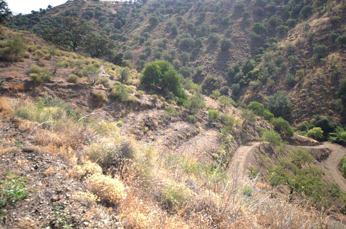 Grunde uden byggetilladelser til salg i Sedella - € 32.000 (Ref: 3022606)