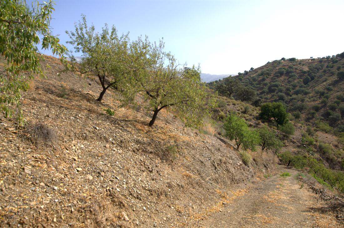 Grunde uden byggetilladelser til salg i Sedella - € 32.000 (Ref: 3022606)