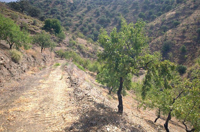 Undeveloped Land for sale in Sedella - € 32,000 (Ref: 3022606)