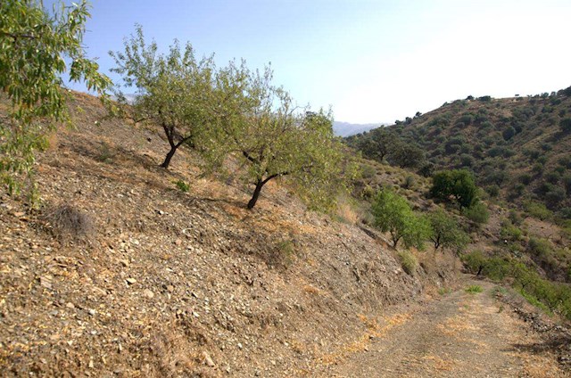 Undeveloped Land for sale in Sedella - € 32,000 (Ref: 3022606)