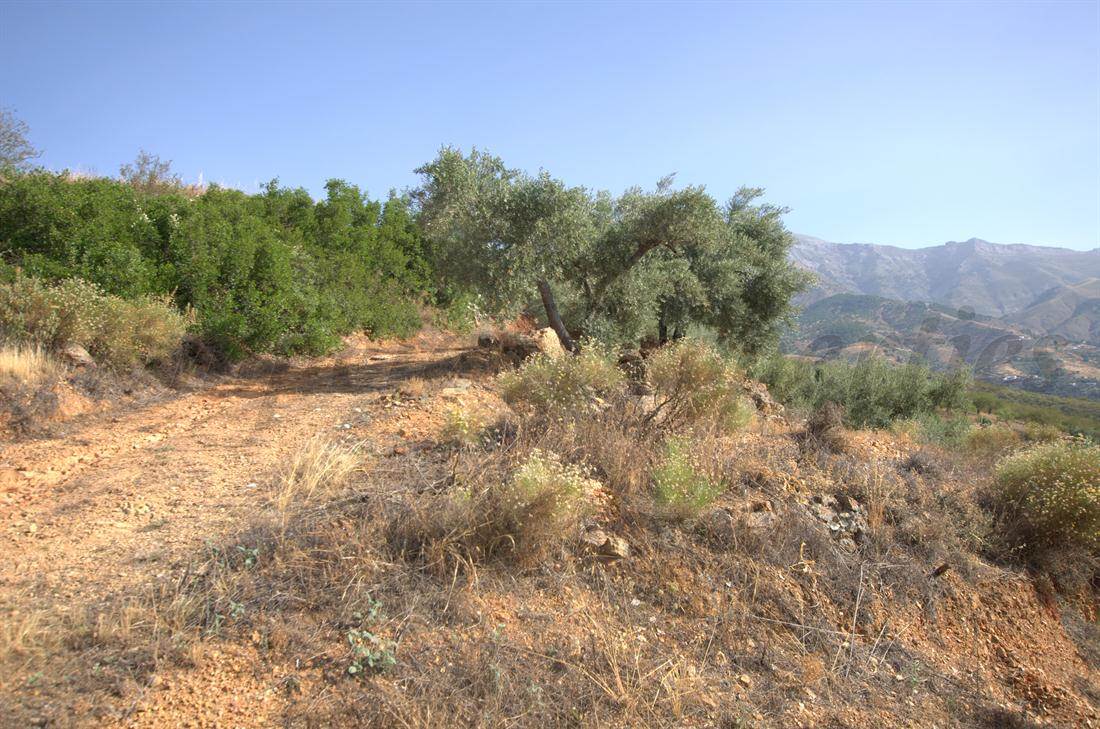 Undeveloped Land for sale in Sedella - € 50,000 (Ref: 3023951)