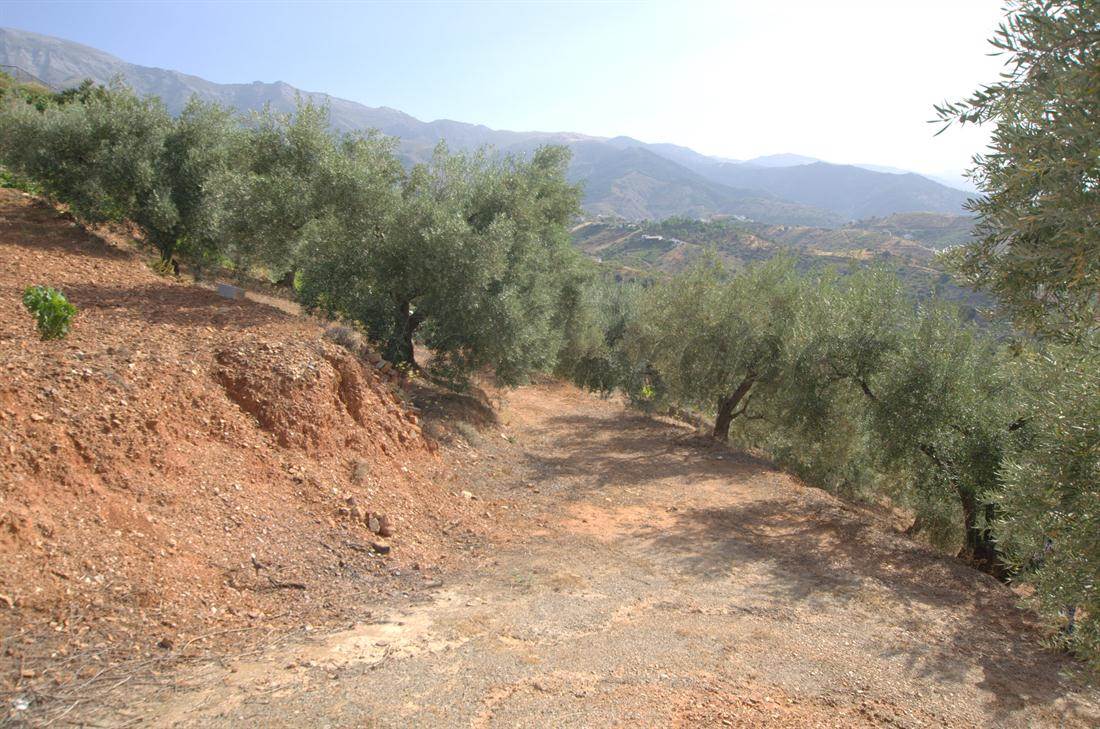 Undeveloped Land for sale in Sedella - € 50,000 (Ref: 3023951)