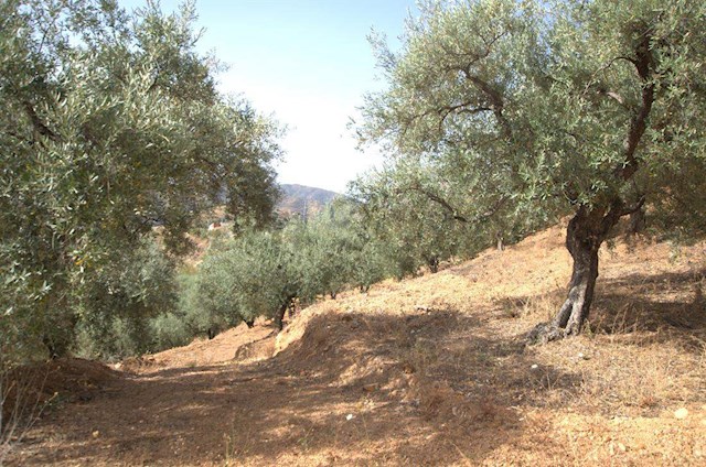 Terreno Non Edificato in vendita in Sedella - 50.000 € (Rif: 3023951)