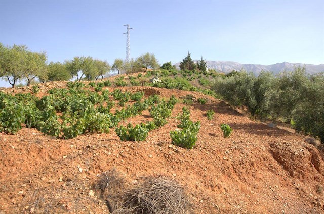 Terreno Non Edificato in vendita in Sedella - 50.000 € (Rif: 3023951)