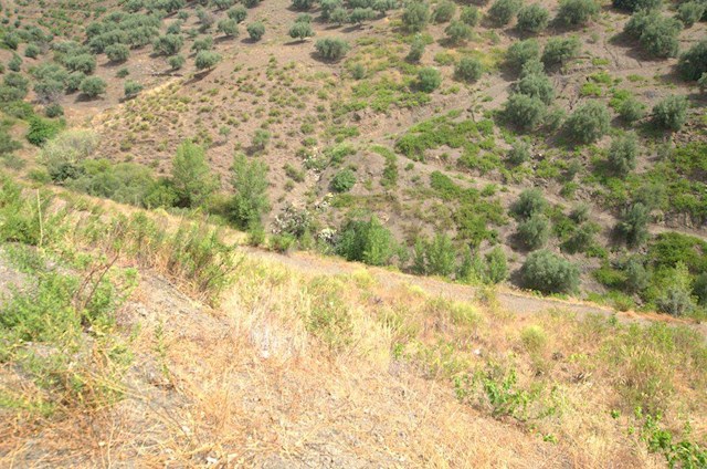 Grond te koop in Archez - € 32.000 (Ref: 3036348)