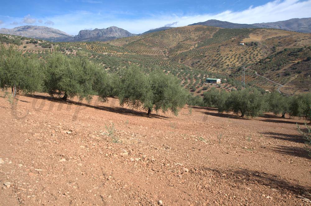 Rudere in vendita in Cutar - 188.000 € (Rif: 3245806)