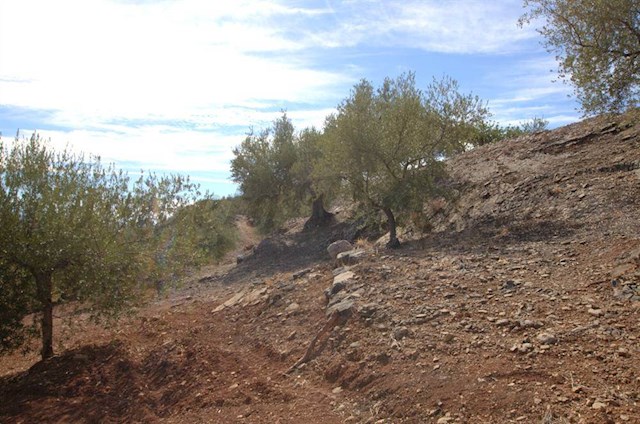 Ruin till salu i Cútar - 188 000 € (Ref: 3245806)