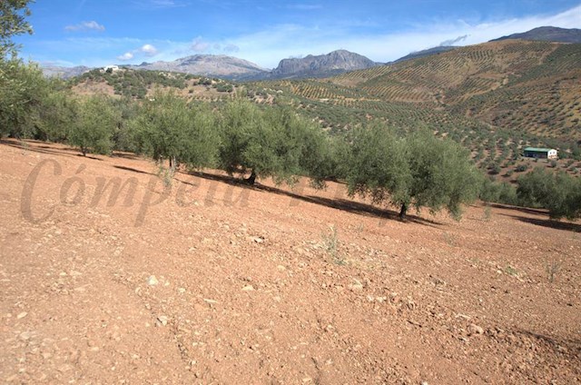 Ruin till salu i Cútar - 188 000 € (Ref: 3245806)